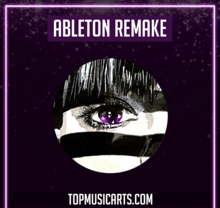 Top Music Arts Purple Disco Machine Hypnotized Ableton Remake (Dance Template) DAW Templates